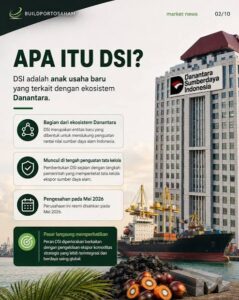 Danantara Membangun Kepercayaan Pasar Internasional